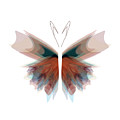 Butterfly 20