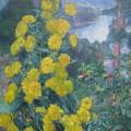  Golden Flowers 