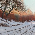  Winter landscape with a road through a forest Dansk  Vinterlandskab med skovvej 